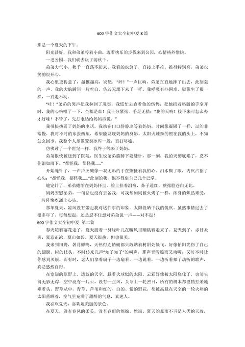 炎热的中考作文夏天作文600字初中