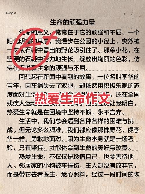 热爱生命的高中作故事四年级优秀作文（精选5篇）