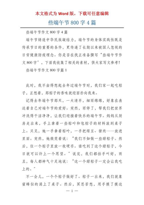 端午作初中作800字初三