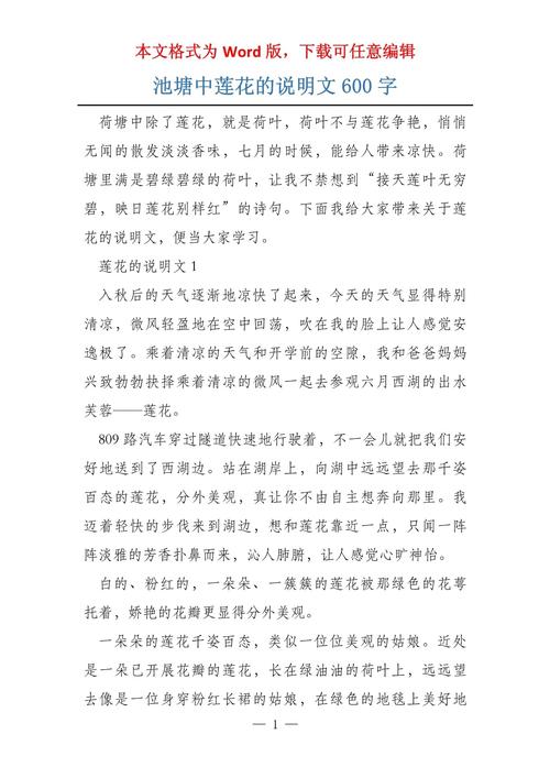 精选关于莲花的看图作文作文600字初中