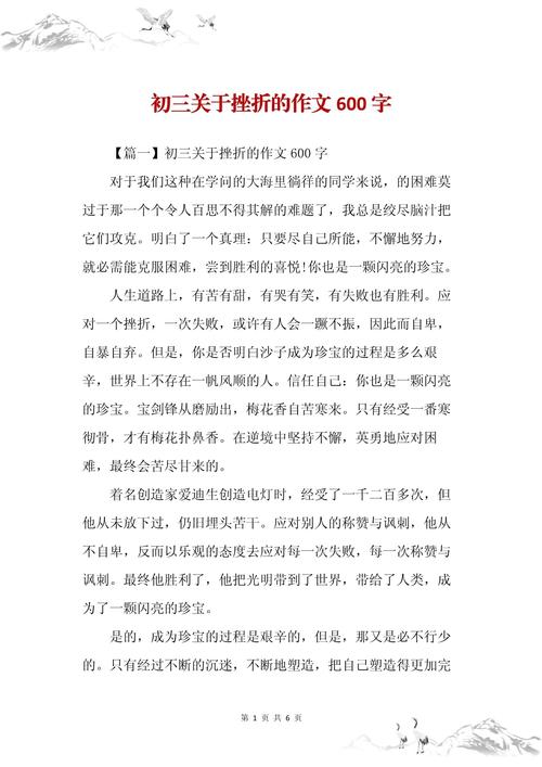 精选初三关于遭遇的中考作文写事作文600字
