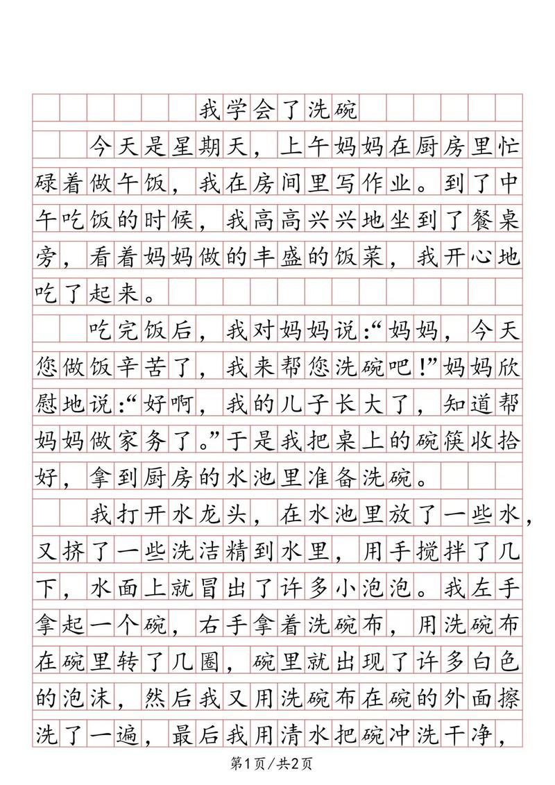 精选我学会了洗碗400字作文四年作文素材