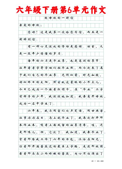 给母校的小升初作文一封信开头