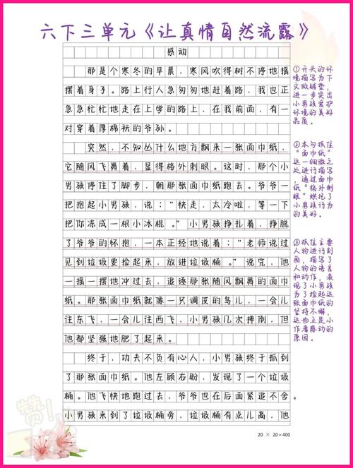 让真情自然流露作作文素材盼望800字（优秀11篇）