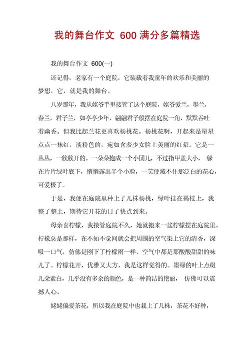 这是我的高考作文舞台初三作文