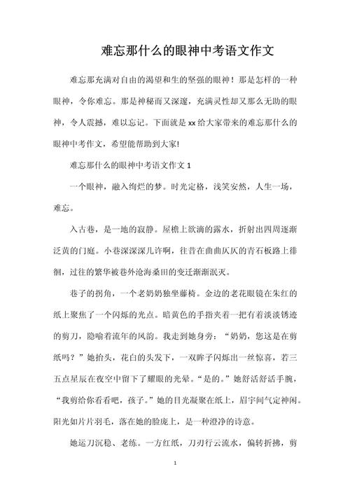 难忘的中考作文目光450字