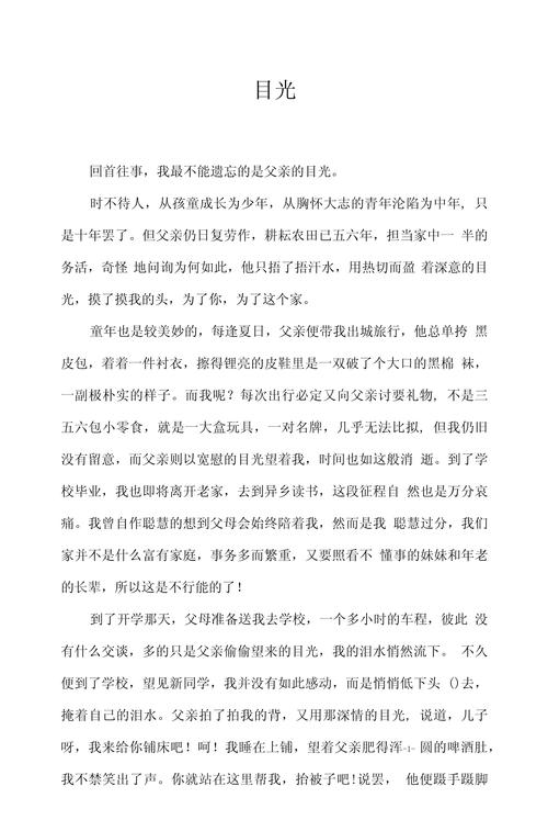 难忘的中考作文目光450字