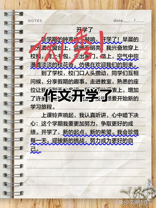 高中生开学作初中作400字（精选4篇）