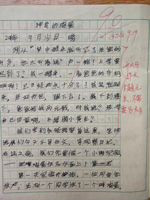 鸡蛋的初中作作文400字四年级（优秀6篇）