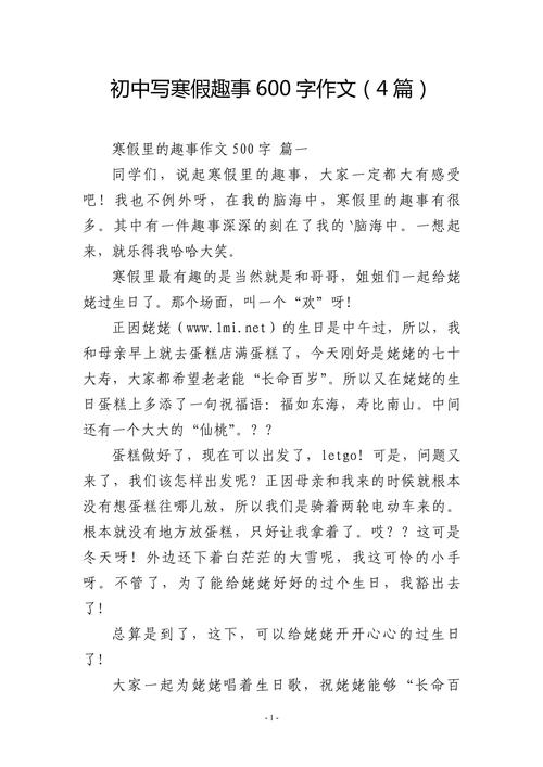 别样的优秀作文寒假作文600字