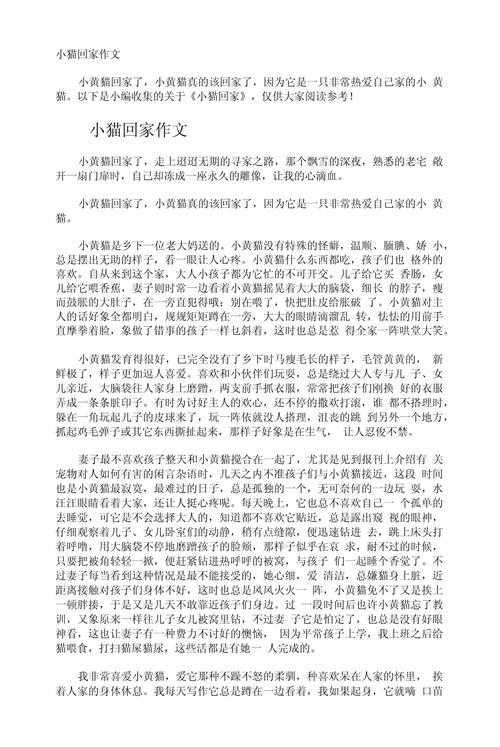 回家700字作中考作文