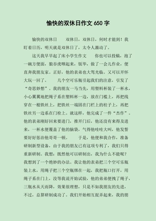 在我的高中作双休日里作文
