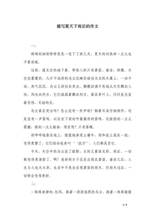 夏天的看图作文雨作文600字初中作文优秀