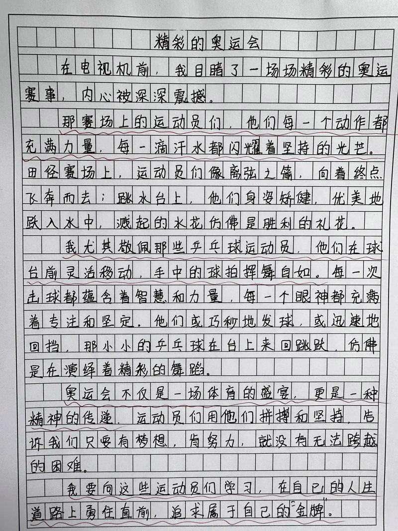 奥运会的作文素材1000作文