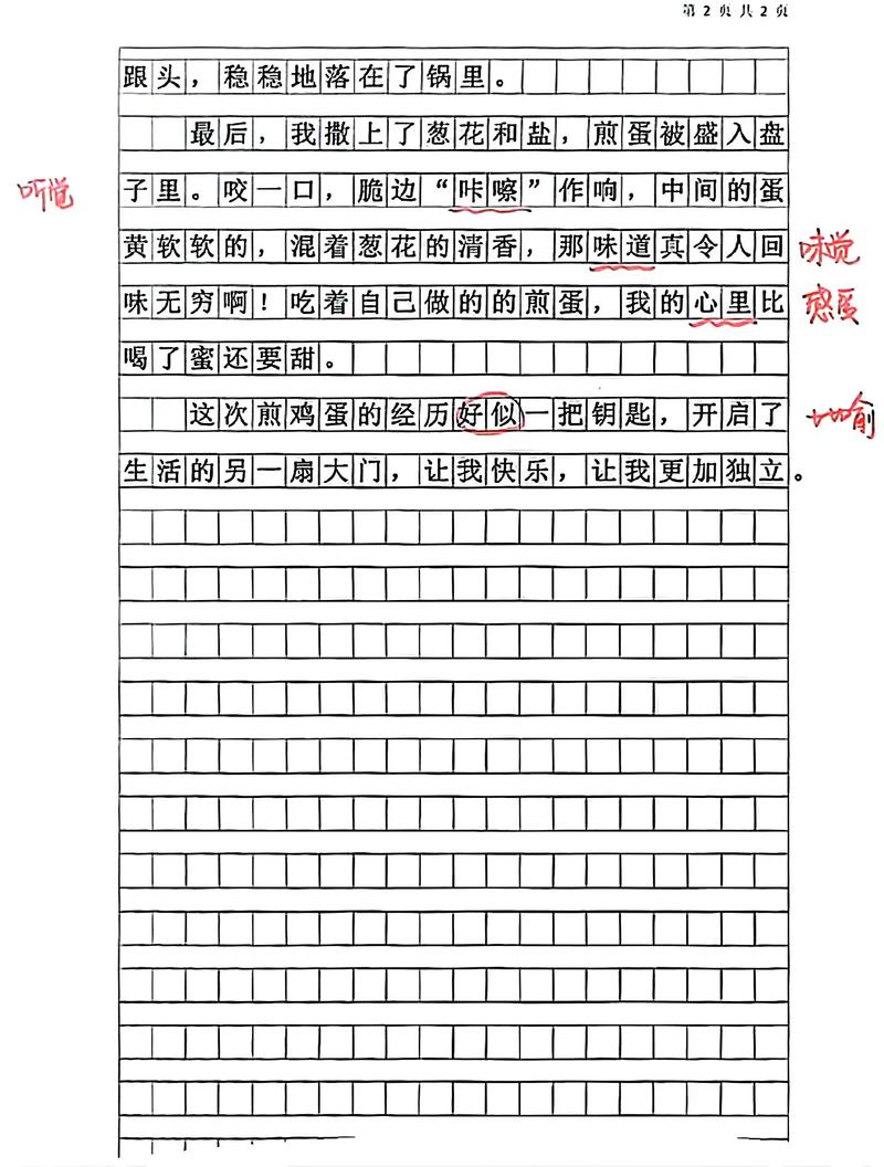 小学作六年级作文学会煎鸡蛋7篇