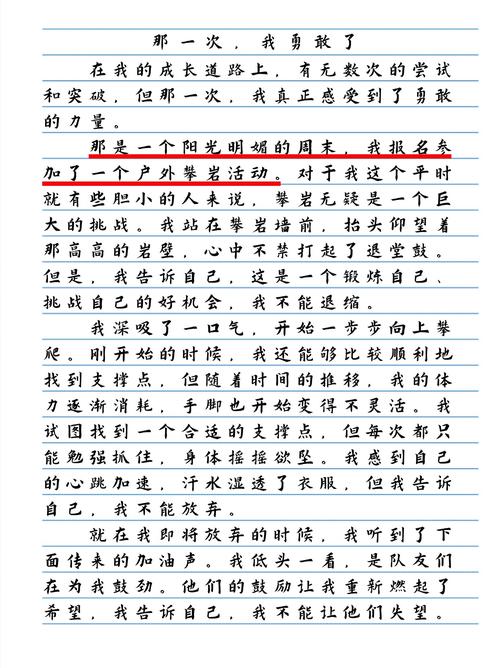 小学生作文那一次我懂得作文了3000字