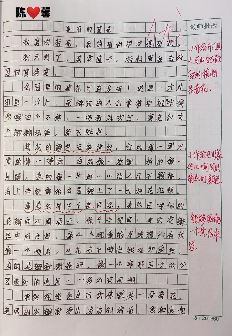 小学生关于菊花的小升初作文作文7000字合集6篇