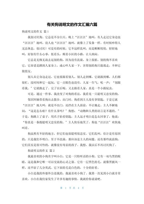 小狗作优秀作文600字初中说明文