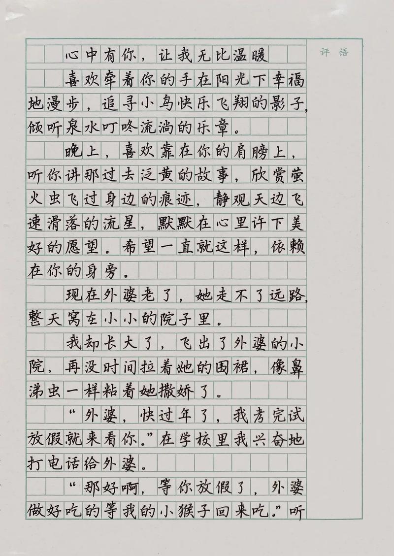 心中的中考作文牵挂600字作文七年级