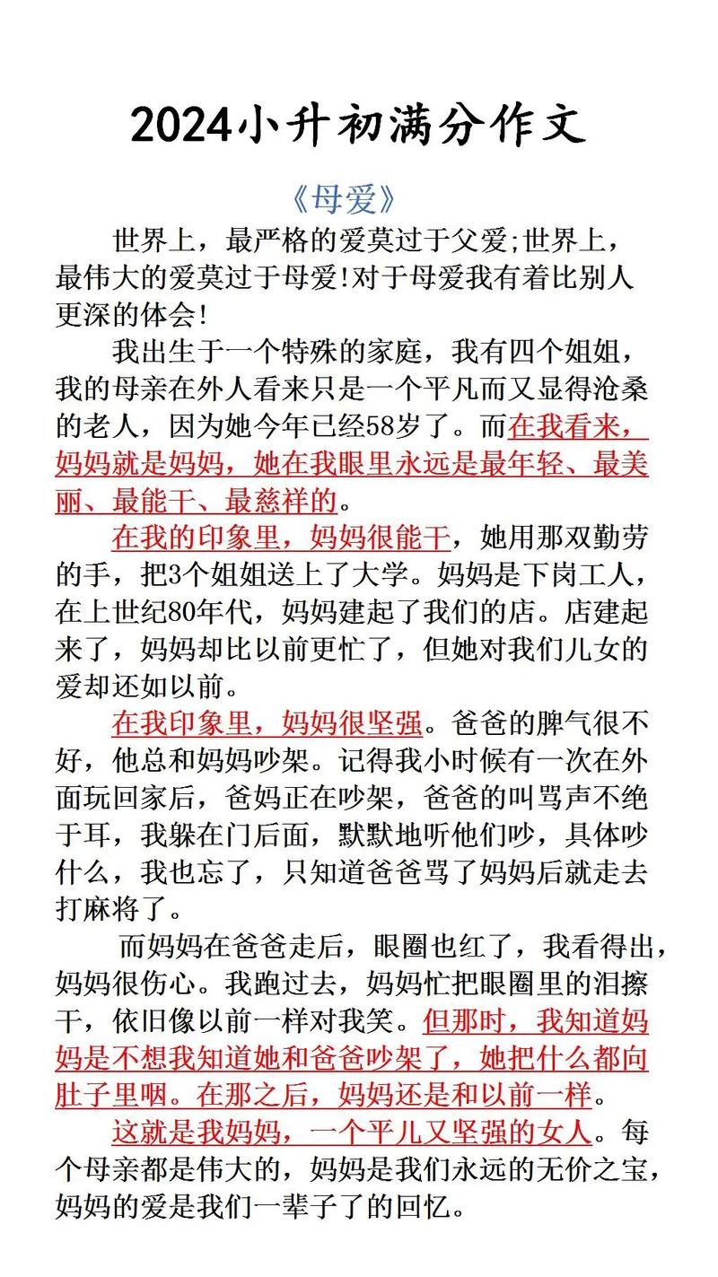 想象未来的小升初作文作文700字