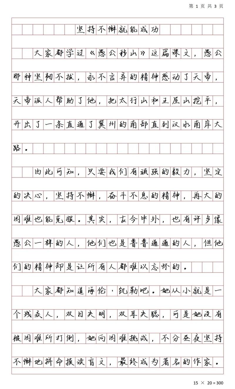 成功需要坚持作优秀作文800字