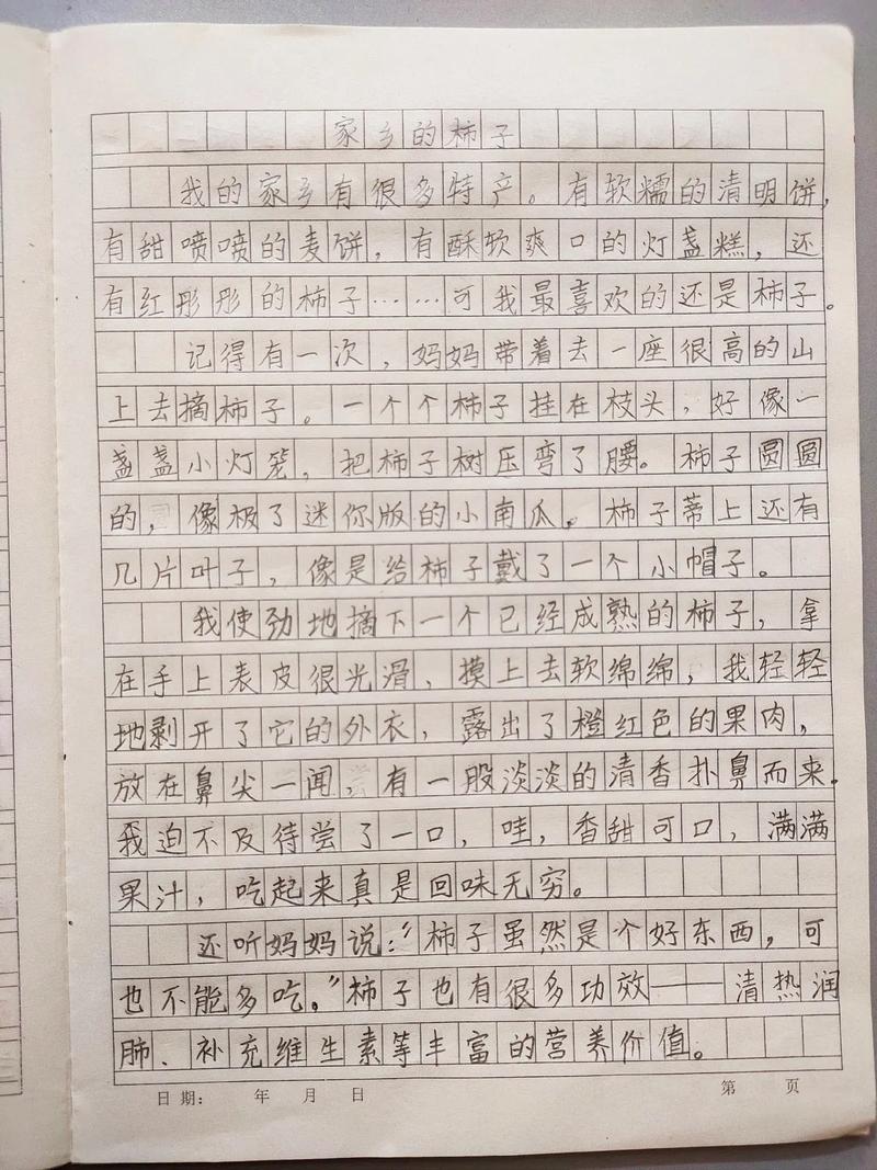 我喜欢吃柿子作优秀作文
