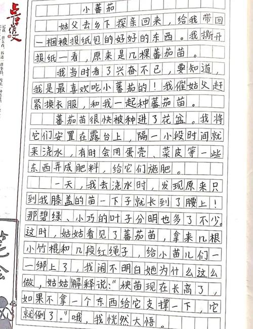 我喜欢吃柿子作优秀作文