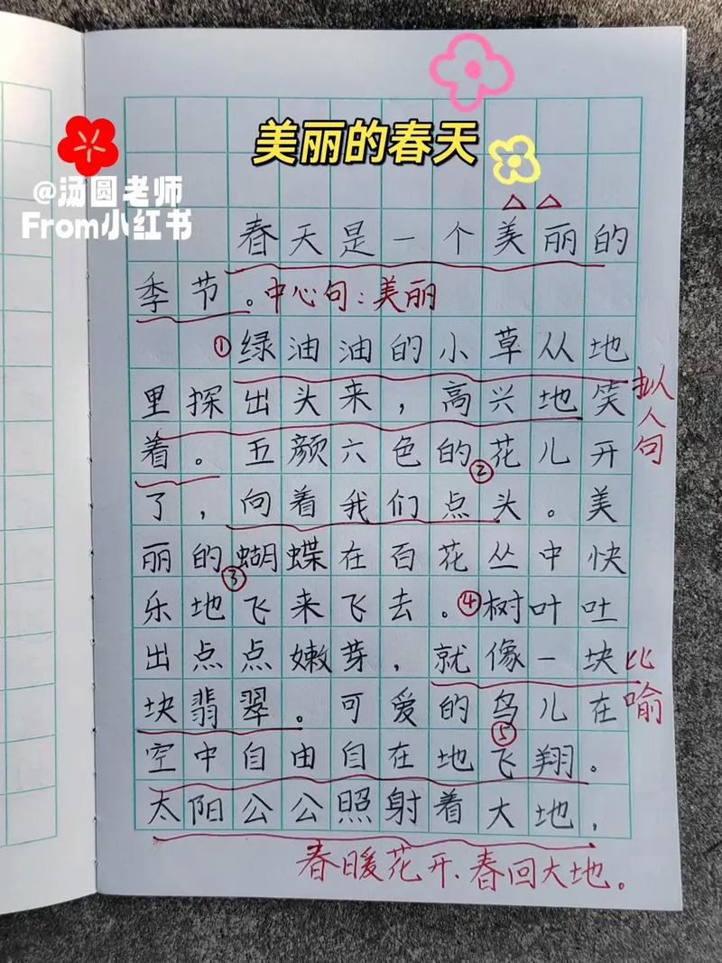 我心目中的作文网春天二年级（合集）