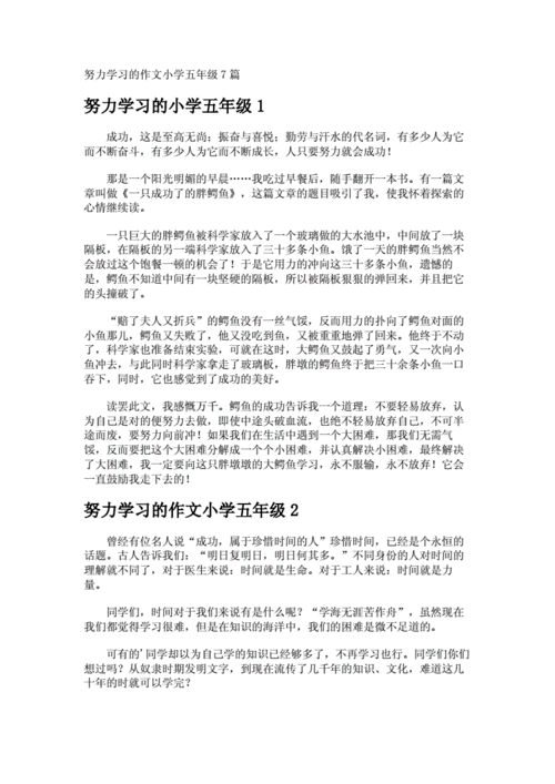 我懂得初中作了努力学习作文