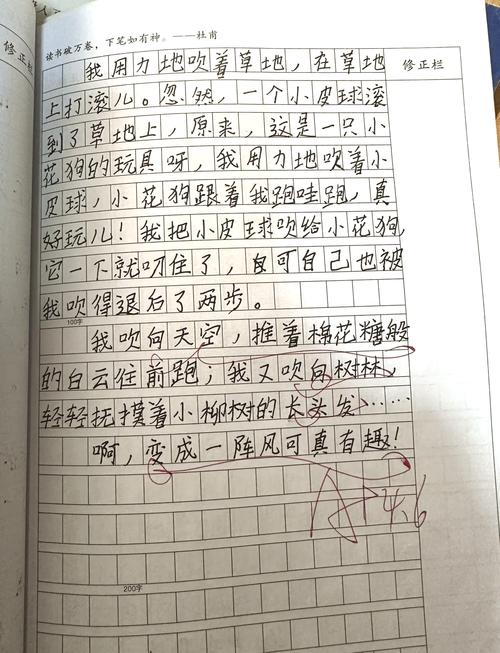 我是一阵风作文500字六年作文大全优秀