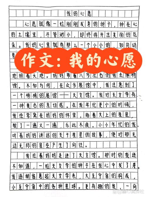 我的优秀作文小小心愿作文