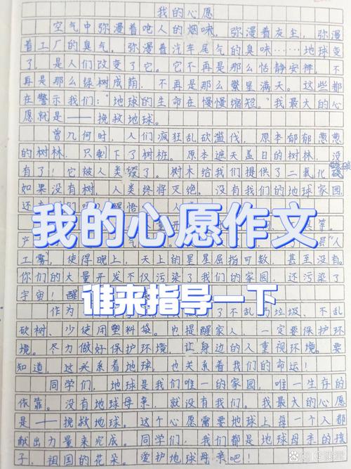 我的优秀作文小小心愿作文