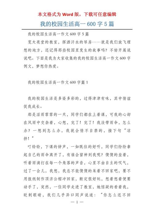 我的大学作高中生活作文600字