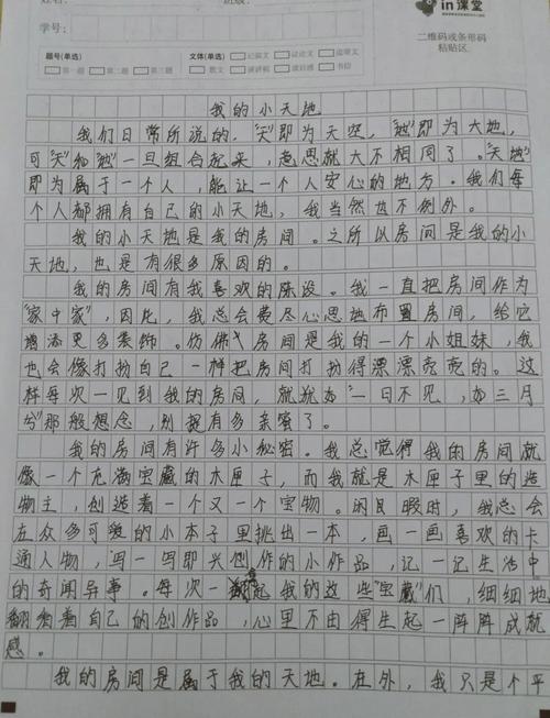 我的小学作小天地作文600字
