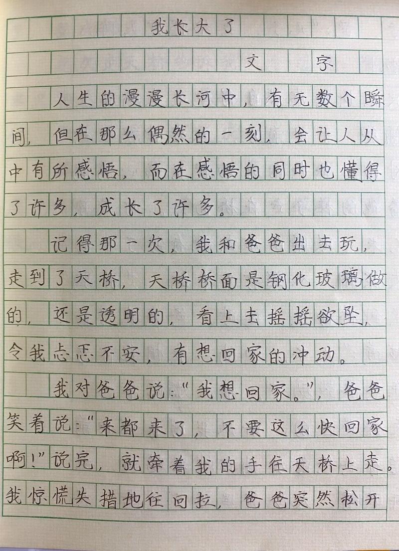 我长大了的六年级作文小学作文范文模板