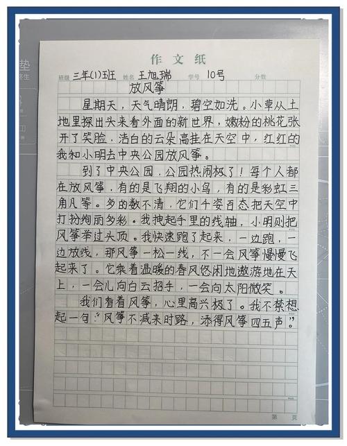 放风筝作小学作300字（合集12篇）