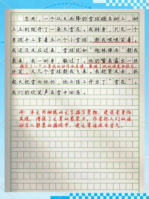 暴风雪作优秀作文1000字精选5篇