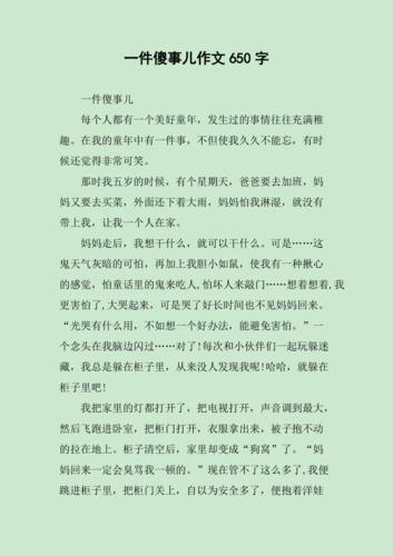 有关一件傻事作文九年高中作800字