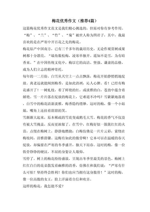 有关梅花的中考作文作文