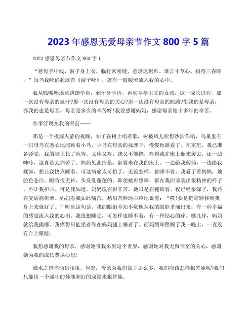 有关母亲节的六年级作文作文八年级800字