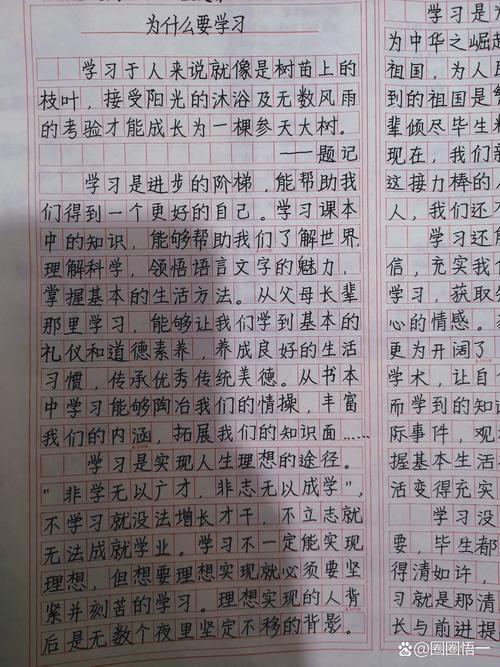 有关考验的六年级作文作文七年级700字