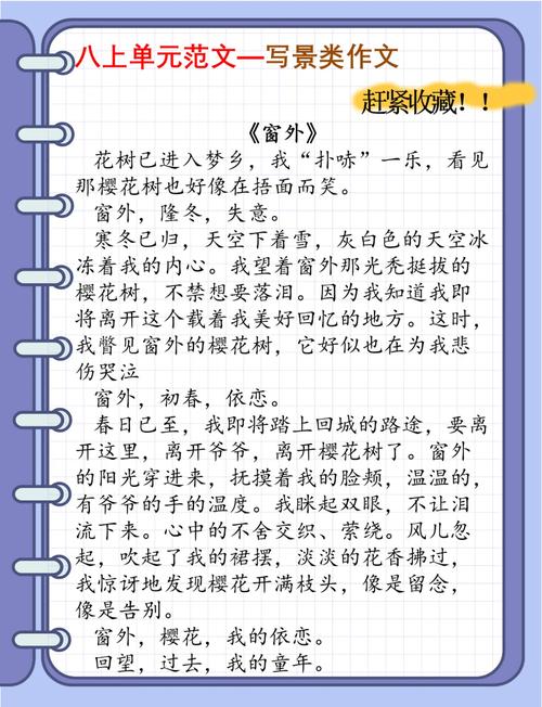 校园窗外作六年级作文600字初二写景抒情