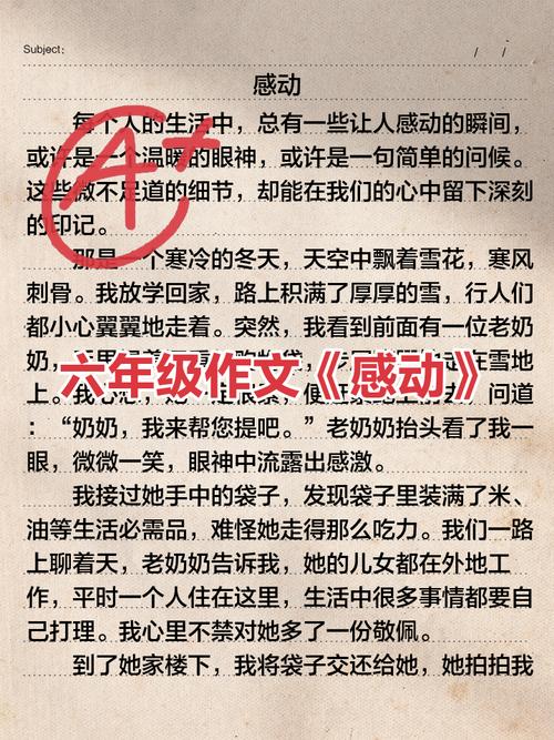 毕业作六年级作文600初三感动