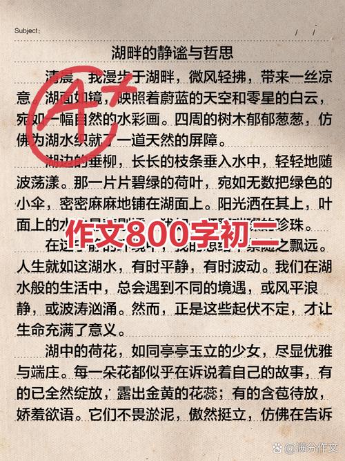 流动的作文美作文800字