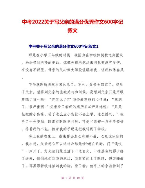 父亲的中考作文目光初二优秀作文600字（个人通用）
