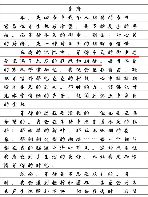 等待的作文素材作文600字高中