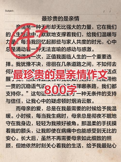精选亲情作优秀作文800字记叙文母亲