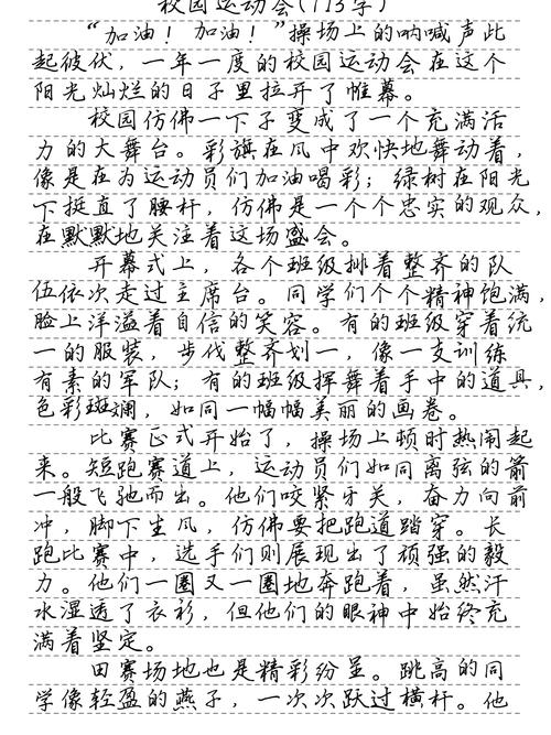 精选有关运动会的大学作作文300字左右
