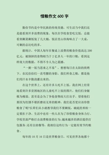 精选节约粮食作看图作文600字高中议论文