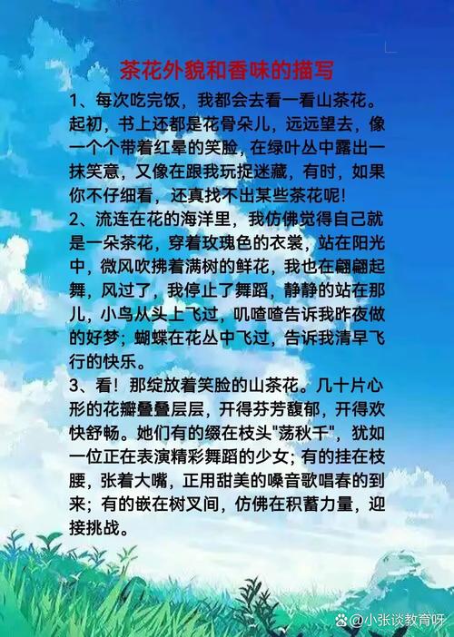茶花作中考作文500字